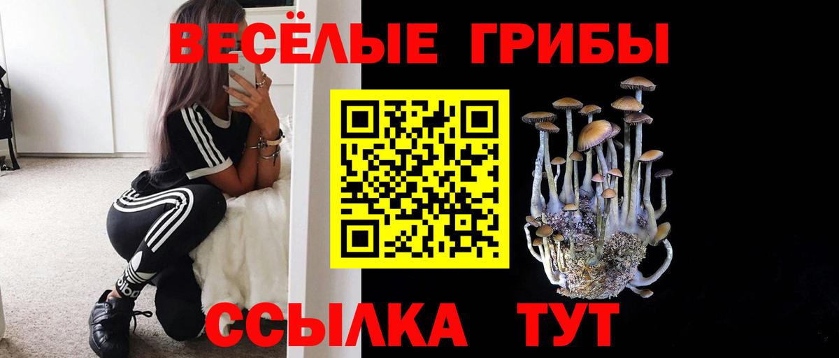 Псилоцибиновые грибы Cubensis  Вход с VPN  Сорочинск  Псилоцибиновые грибы GOLDEN TEACHER 