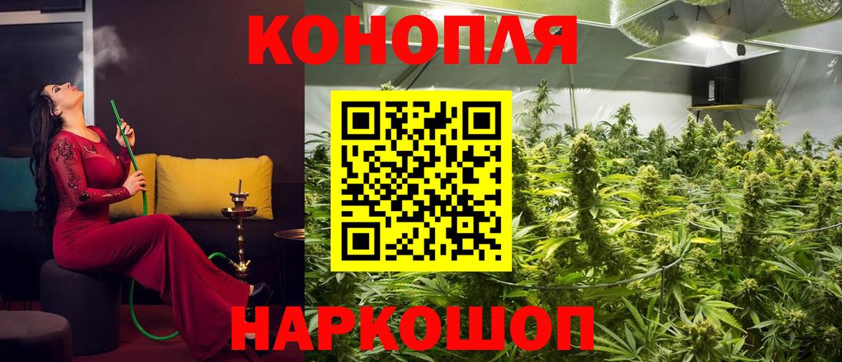 Бошки Шишки ГИДРОПОН Сорочинск